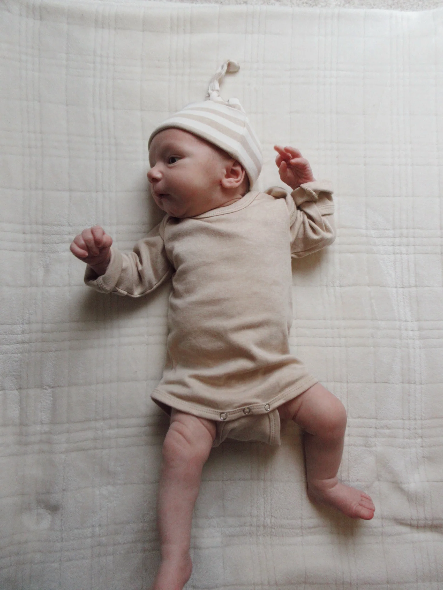 Biscuit / Organic Long Sleeve Bodysuit - Image 3