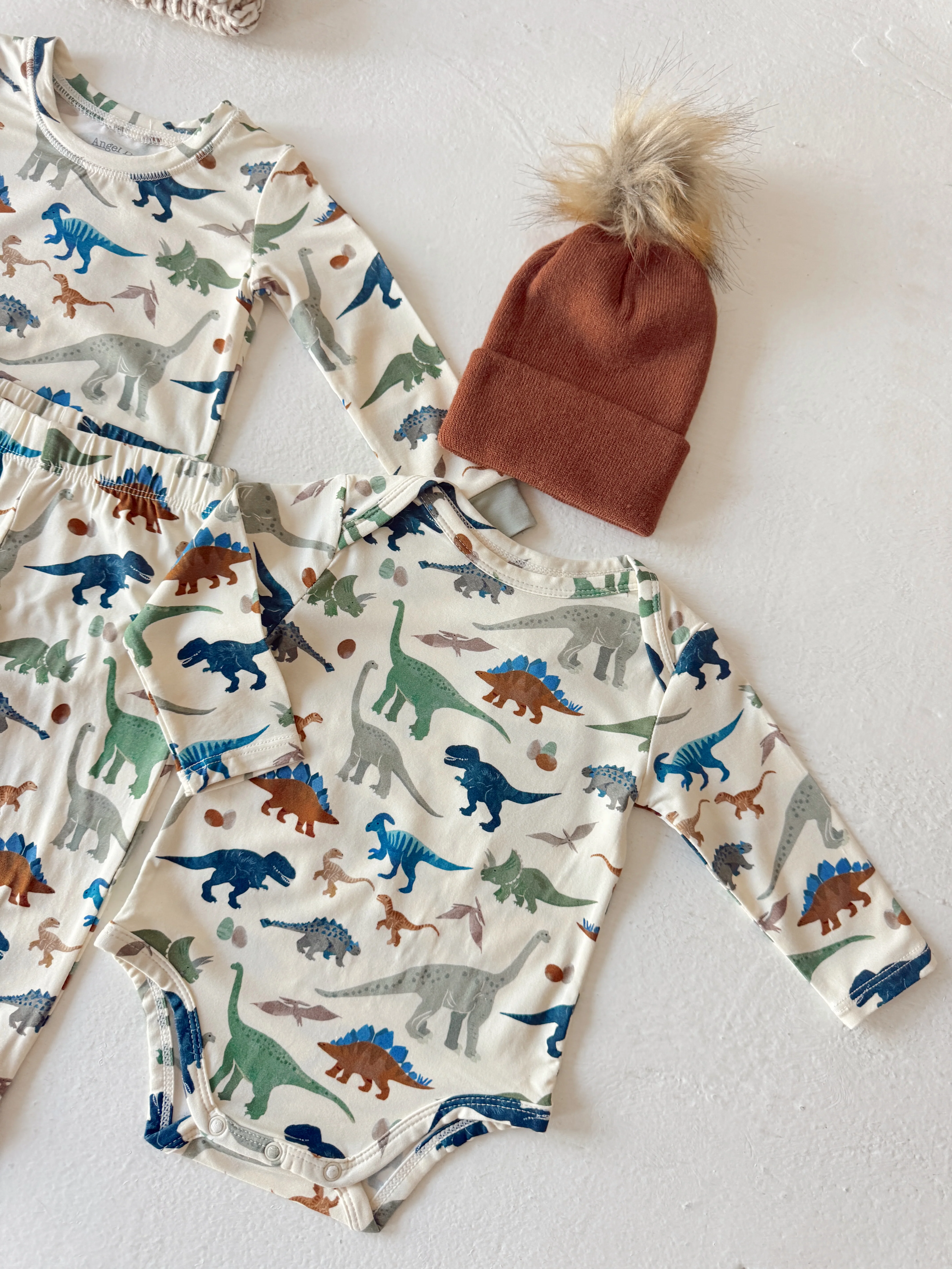 Long Sleeve Bodysuit, Washy Dinos