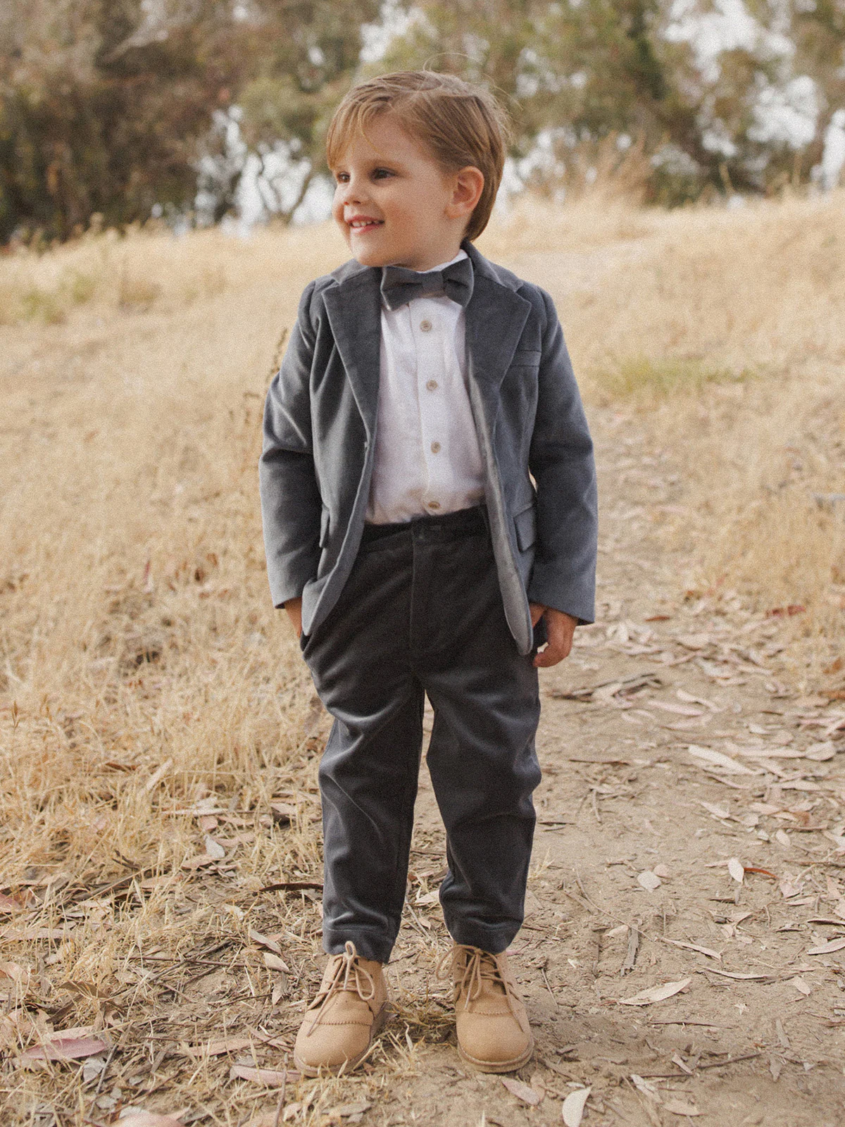 Sebastian Blazer, Midnight - Image 10